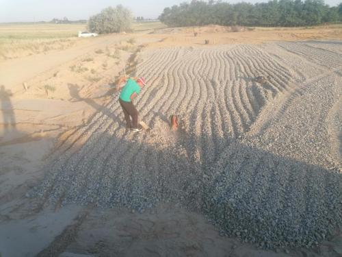 CAV Daneti Judet Dolj